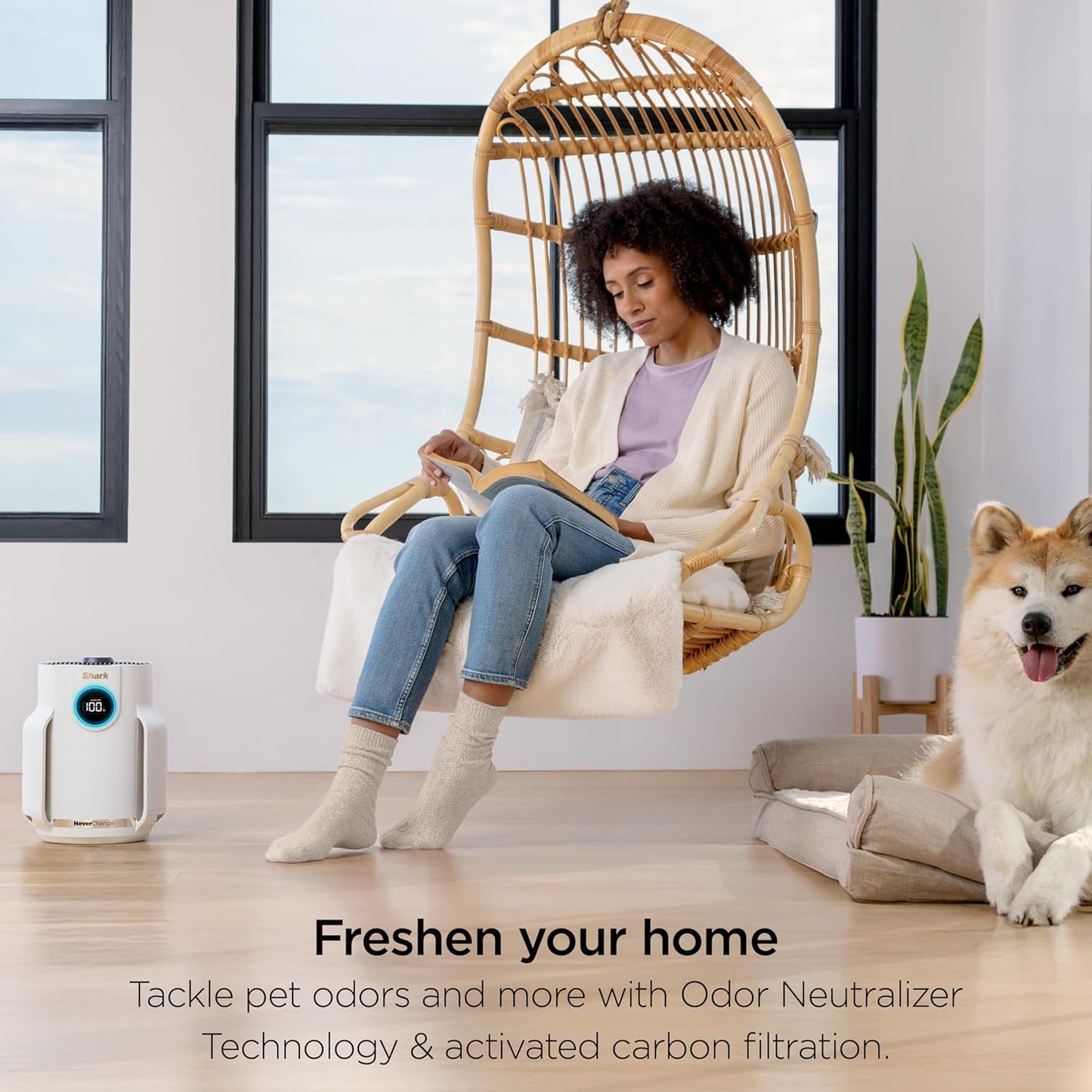 Air purify