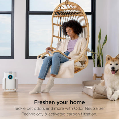 Air purify